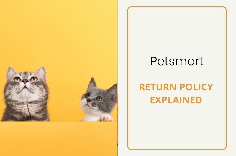 PetSmart Return Policy 2022 (Pets, No Receipt, Chewy + More)